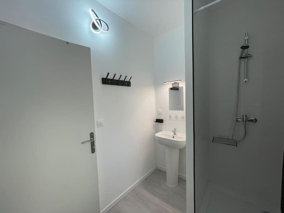 Studio A2 18M2 Cosy 5Minutes Gare Parking Gratuit Rue De La Mure Roanne Buitenkant foto